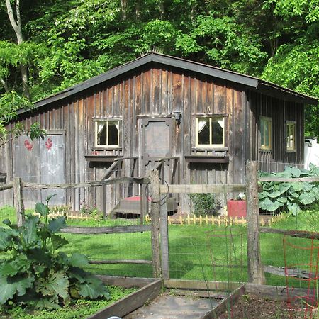 Вилла The Renovated Barn At Seneca Rocks Экстерьер фото