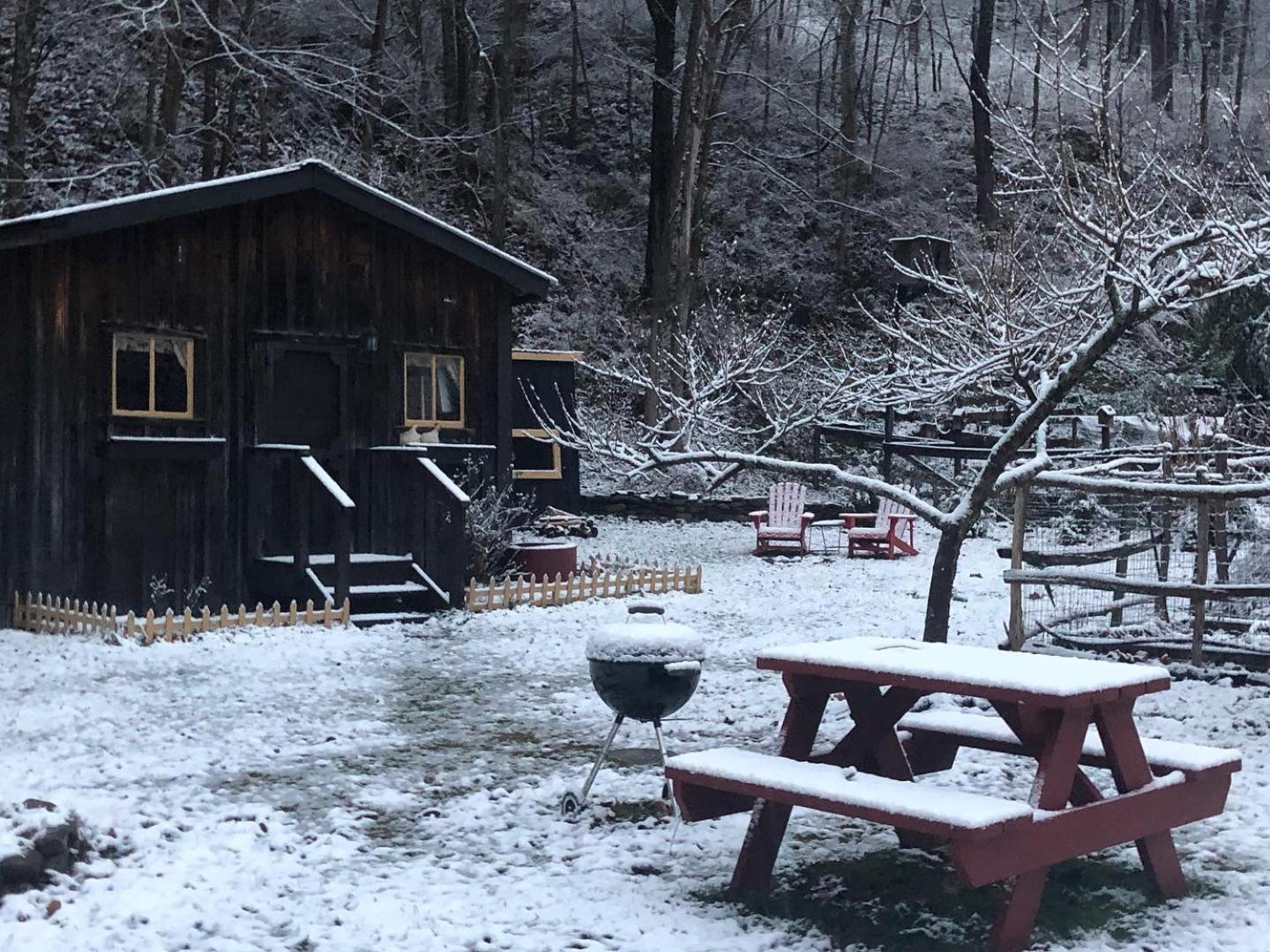 Вилла The Renovated Barn At Seneca Rocks Экстерьер фото