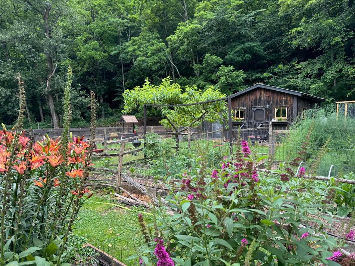 Вилла The Renovated Barn At Seneca Rocks Экстерьер фото