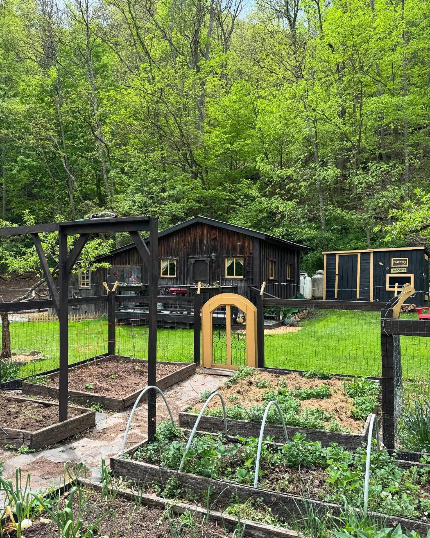 Вилла The Renovated Barn At Seneca Rocks Экстерьер фото